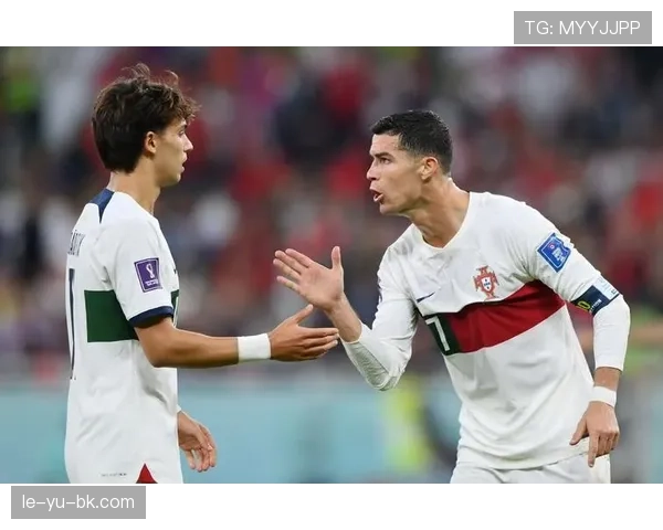 乌拉圭队新老融合阵容深度解析：新星闪耀助力世界杯征程